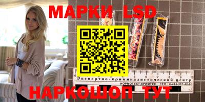 стаф Нальчик