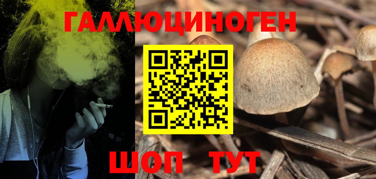 Псилоцибиновые грибы ЛСД  Вход с VPN  Шелехов 