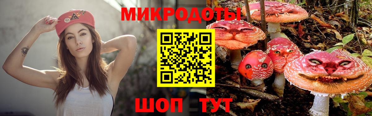 Галлюциногенные грибы ЛСД Шелехов